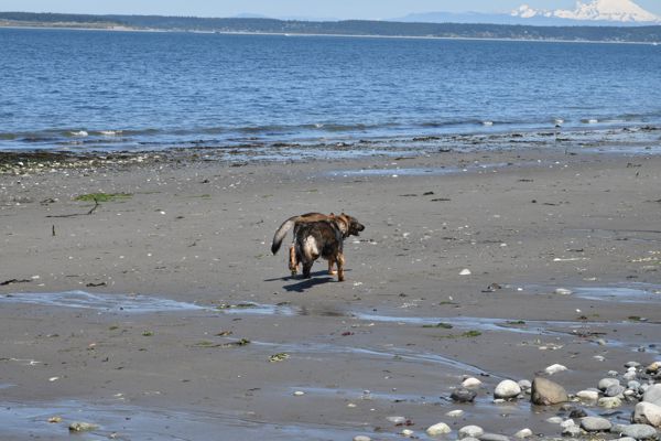 DSC_2262.jpg