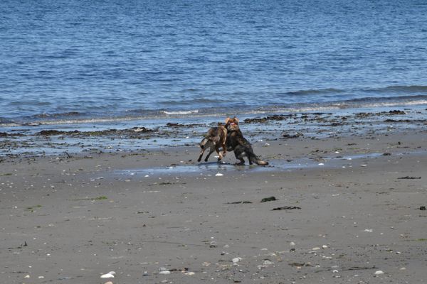 DSC_2265.jpg