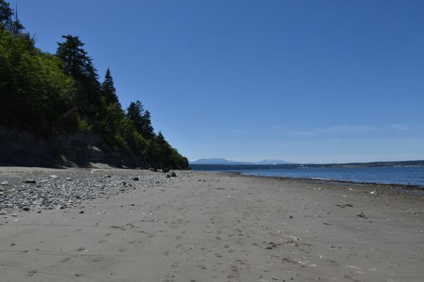 DSC_2306.jpg