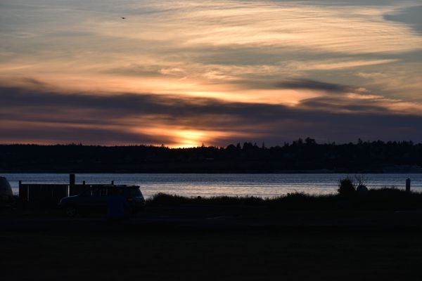 DSC_2337.jpg