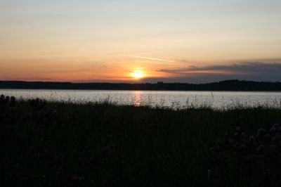 IMG_9261.JPG