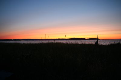 IMG_9350.JPG