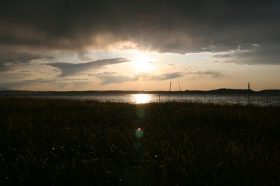 IMG_9411.JPG