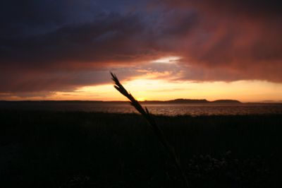 IMG_9496.JPG