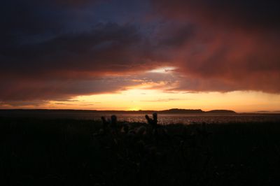 IMG_9499.JPG