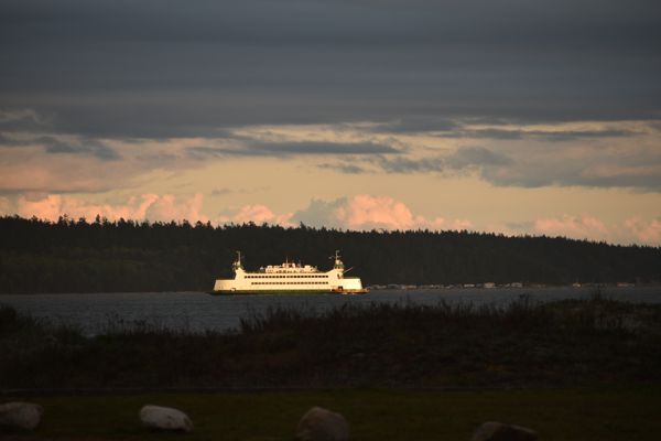 DSC_1705.jpg