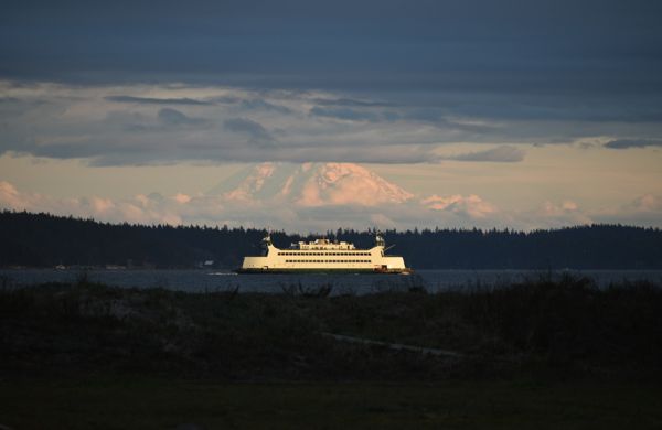 DSC_1730-r.jpg