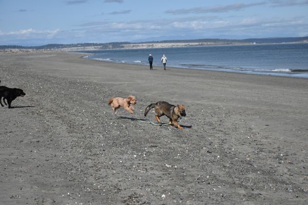 DSC_1863.jpg