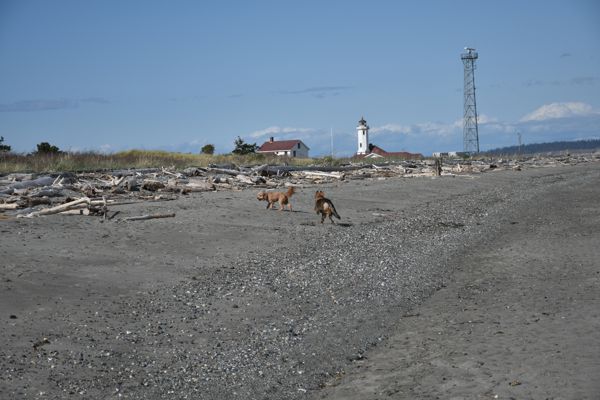 DSC_1870.jpg