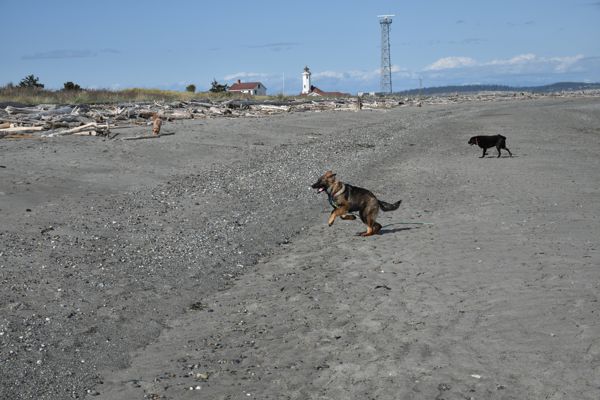 DSC_1878.jpg