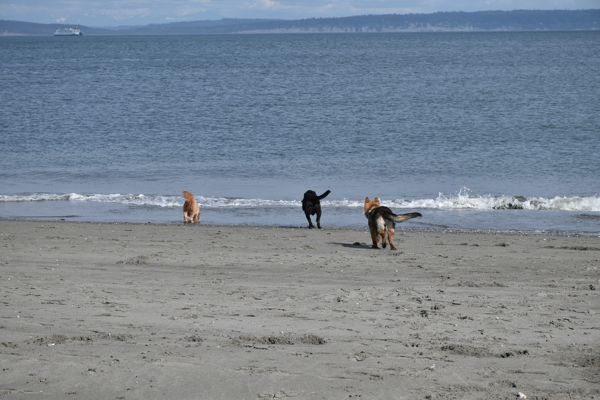 DSC_1885.jpg