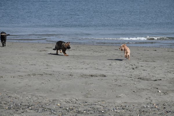 DSC_1889.jpg