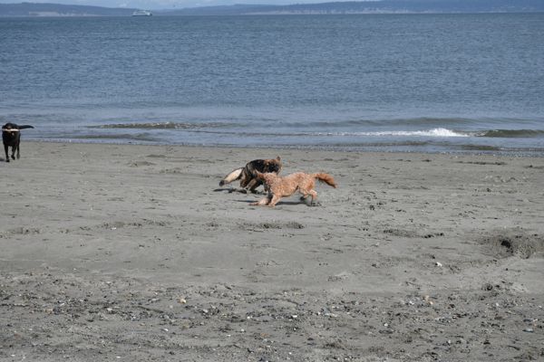 DSC_1890.jpg