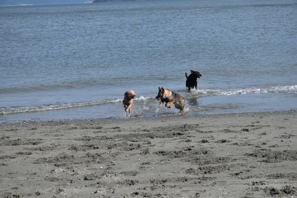 DSC_1909.jpg