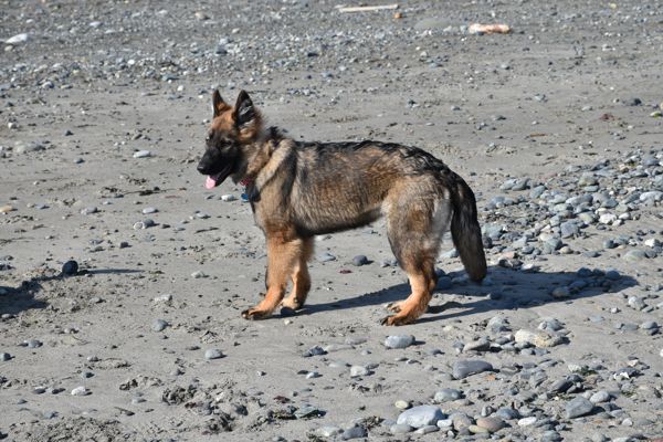 DSC_1949.jpg