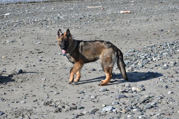 DSC_1950.jpg