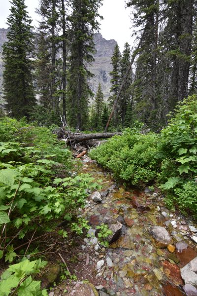 DSC_2720.JPG