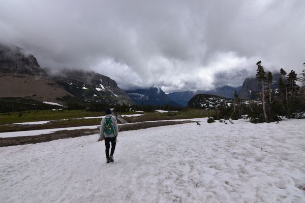 DSC_2879.JPG