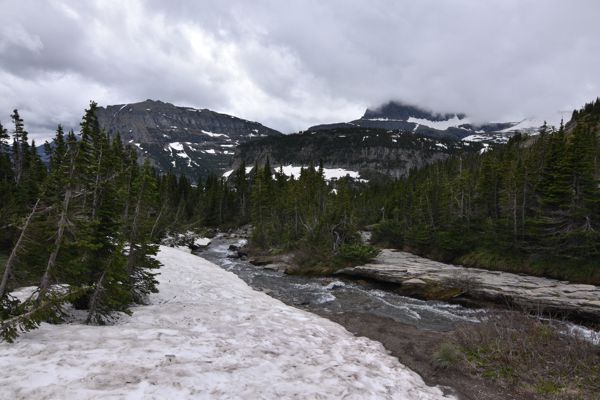 DSC_2887.JPG