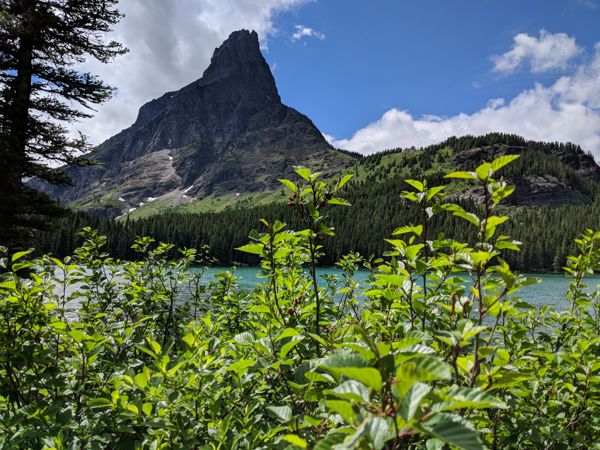IMG_20180629_144831.jpg