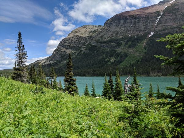 MVIMG_20180629_140828.jpg