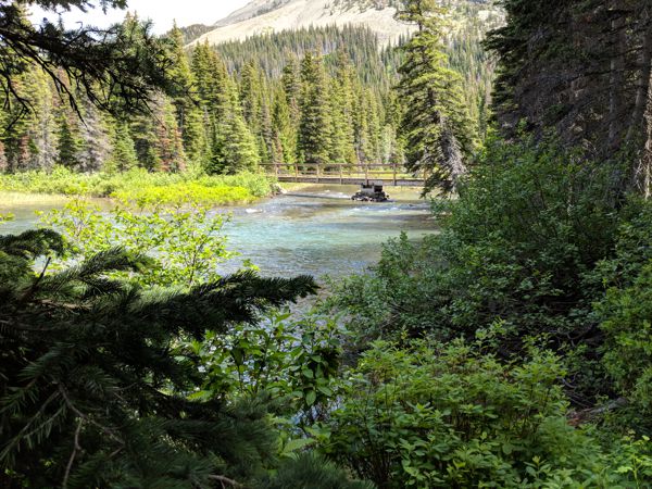 MVIMG_20180629_144338.jpg