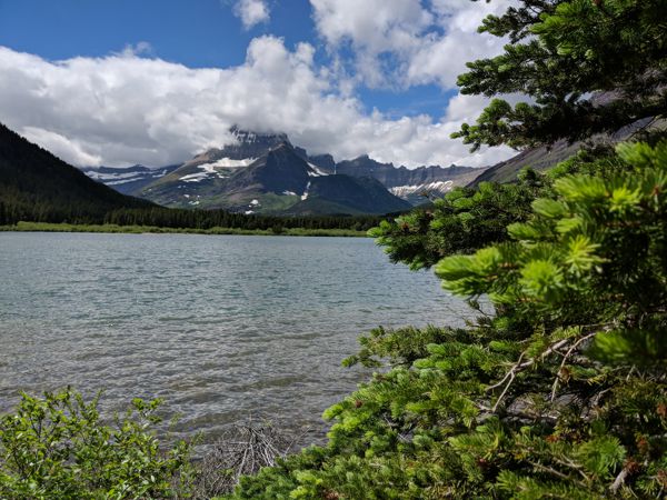 MVIMG_20180629_150005.jpg