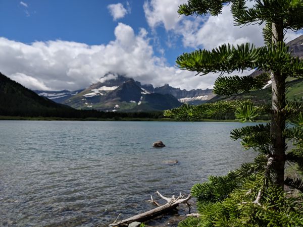 MVIMG_20180629_150037.jpg