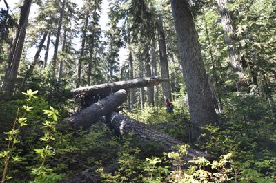 DSC_5385.JPG