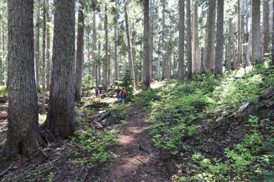 DSC_5392.JPG