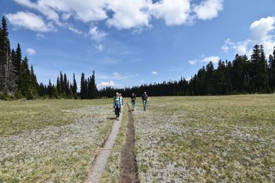 DSC_5438.JPG