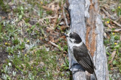 DSC_5471.JPG