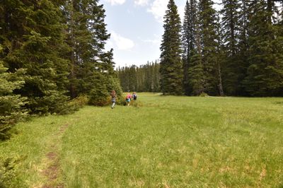 DSC_5479.JPG