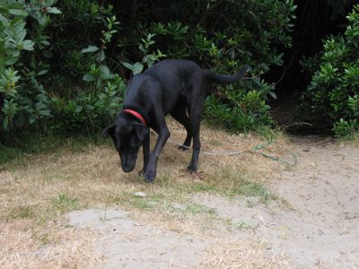 IMG_2432.JPG