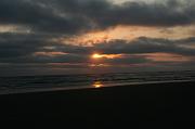 IMG_8505