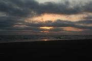 IMG_8510