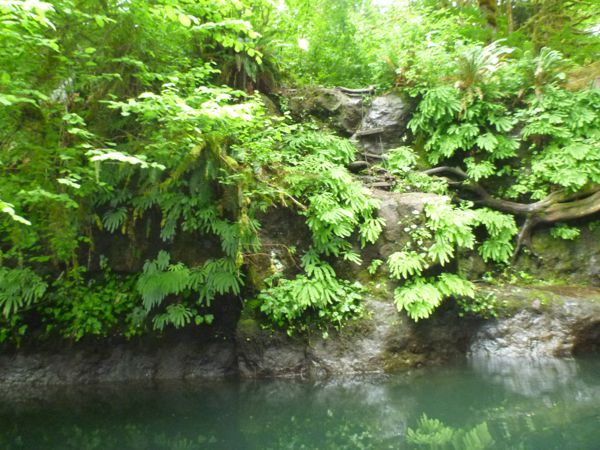 p1000521.jpg