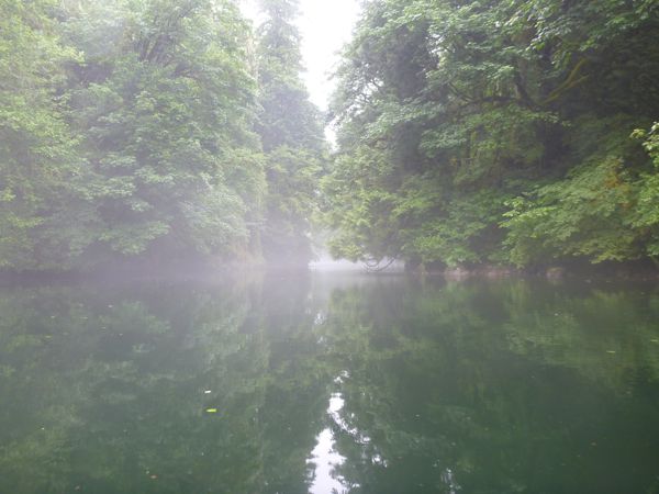 p1000548.jpg