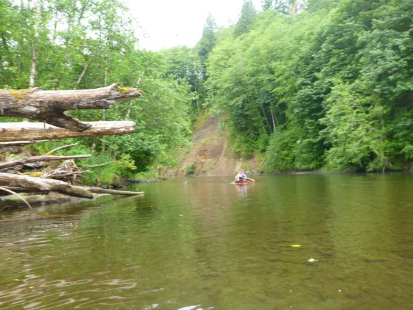 p1000560.jpg