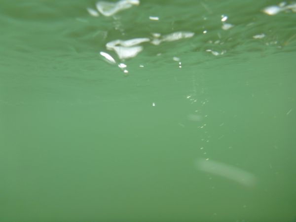 p1000586.jpg