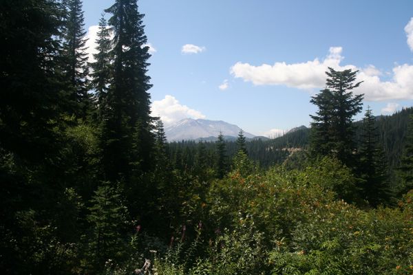 IMG_6979.JPG