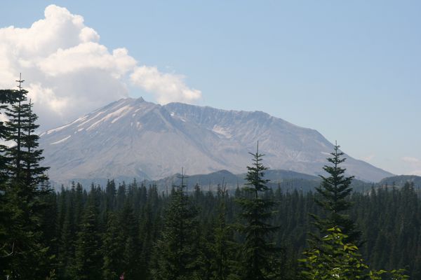IMG_6980.JPG