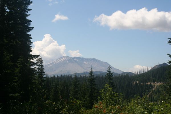 IMG_6991.JPG