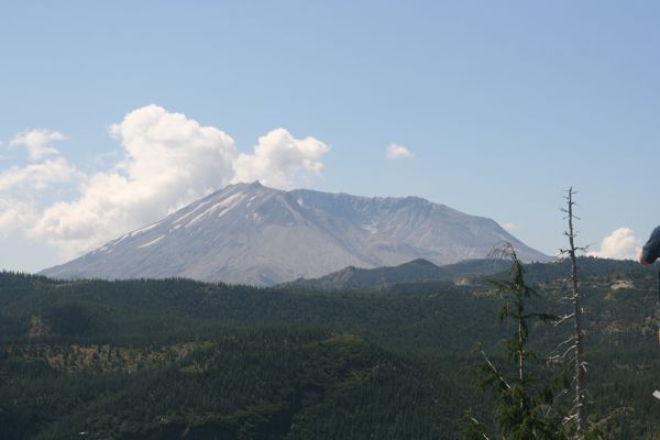 IMG_7012.JPG