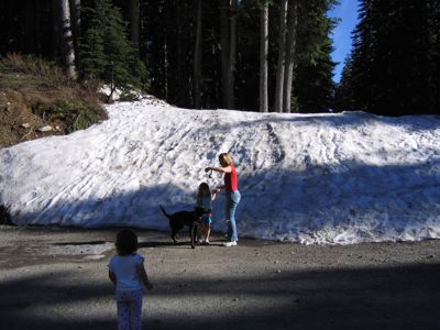 IMG_2133.JPG