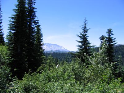 IMG_2146.JPG