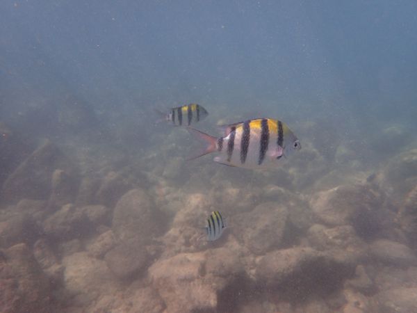 P6220425.JPG