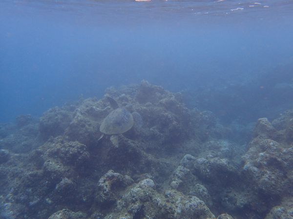 P6250644.JPG