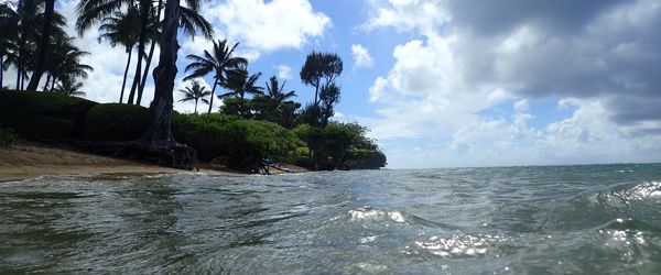 woods-kauai-2016-anini-beach.JPG