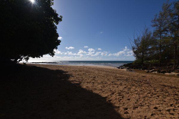 DSC_3595.jpg